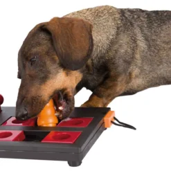 Trixie Activités Pour Chiens Mini Mover Niveau 3 -Trixie Soldes Magasin 42288 pho pro dog clip 32029 1 4