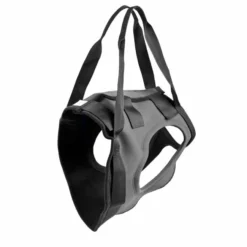 Julius K9 Réhabilitation Du Faisceau Arrière