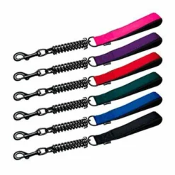 Gloria Pets Sangle De Printemps Courte Et Violette -Trixie Soldes Magasin 424747 correa muelle 1 2