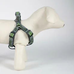 For Fan Pets Petral Pour Chien The Mandalorian 11 For Fan Pets Petral Pour Chien The Mandalorian -Trixie Soldes Magasin 425513 petral para perro the mandalorian 5 5 jpeg 3