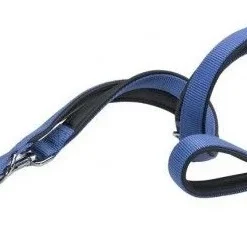 Ferplast Laisse En Nylon Daytona Training Bleu