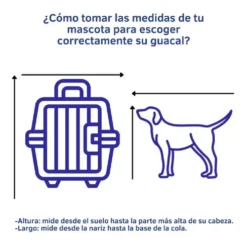 Hagen Voyageur Big Grey Pet 61X41X36 -Trixie Soldes Magasin 428254 d 864961 mco47668728525 092021 o 2