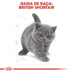 Royal Canin Aliment Pour Chatons British Shorthair -Trixie Soldes Magasin 428789 raza 2