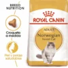 Royal Canin Nourriture Norweigan Forest Cat -Trixie Soldes Magasin 42931 0