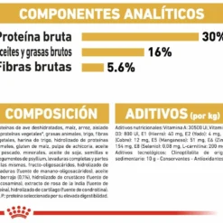 Royal Canin Nourriture Norweigan Forest Cat -Trixie Soldes Magasin 42931 5