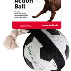 Flamingo Balle Action Ball Football Balle