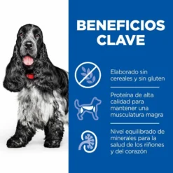 Hill's Science Plan No Grain Mature Adult Au Poulet Sans Céréales -Trixie Soldes Magasin 429798 52742037257 3 2