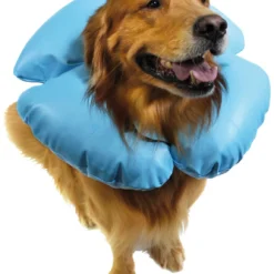 KVP Collier Élisabéthain Gonflable Air-O