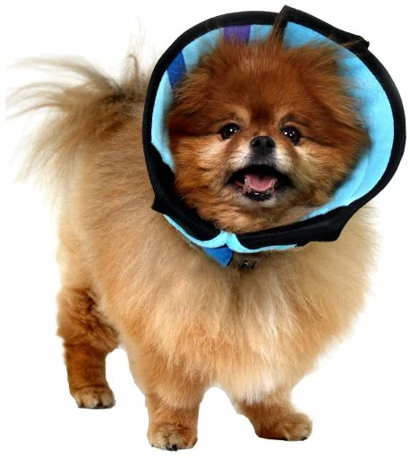 KVP Calmer Le Collier Élisabéthain Avec Tissu 3 KVP Calmer Le Collier Élisabéthain Avec Tissu