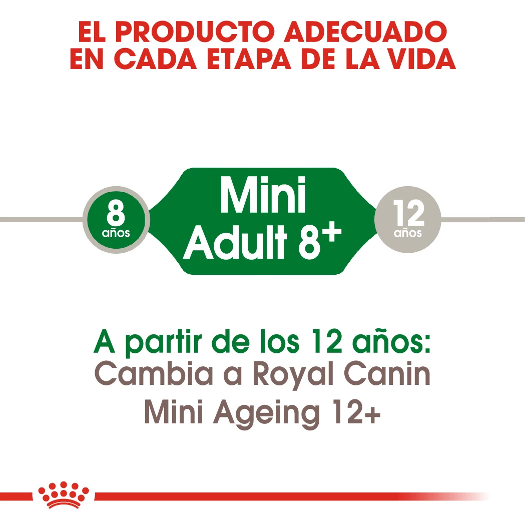 Royal Canin Mini Adult 8+Croquettes Pour Chiens Seniors De Petite Race 5 Royal Canin Mini Adult 8+Croquettes Pour Chiens Seniors De Petite Race – Image 3