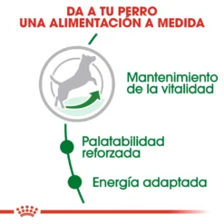 Royal Canin Mini Adult 8+Croquettes Pour Chiens Seniors De Petite Race 13 Royal Canin Mini Adult 8+Croquettes Pour Chiens Seniors De Petite Race -Trixie Soldes Magasin 43 3 2