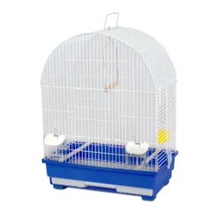 Trixie Cage Des Oiseaux Martiniques Bleus