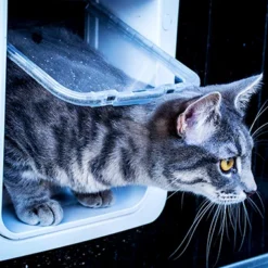 Sure Petcare SureFlap Porte Avec Puce Électronique Connect -Trixie Soldes Magasin 430467 image phpjk 3