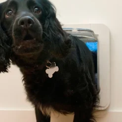 Sure Petcare SureFlap Porte Avec Puce Électronique Connect -Trixie Soldes Magasin 430467 image phpjlg 5