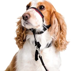 The Company Of Animals Muselière Rembourrée Anti-Tirant Optifit 8 The Company Of Animals Muselière Rembourrée Anti-Tirant Optifit -Trixie Soldes Magasin 43176 halti optifit size m on dog 1