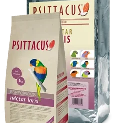 Psittacus Nectar Loris