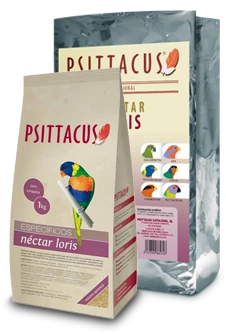 Psittacus Nectar Loris 3 Psittacus Nectar Loris