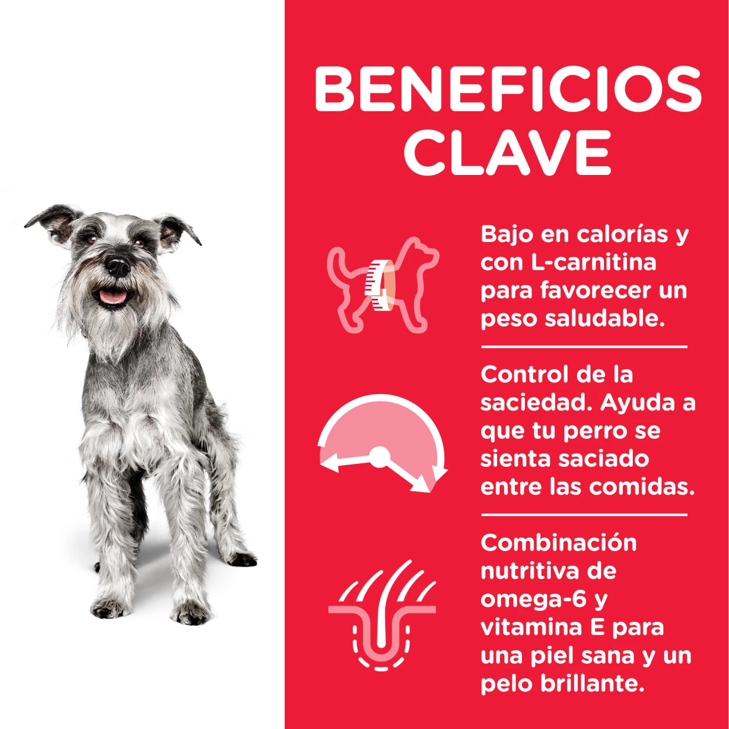 Hill's Science Plan Senior +7 Light Small & Mini Au Poulet 4 Hill's Science Plan Senior +7 Light Small & Mini Au Poulet – Image 2