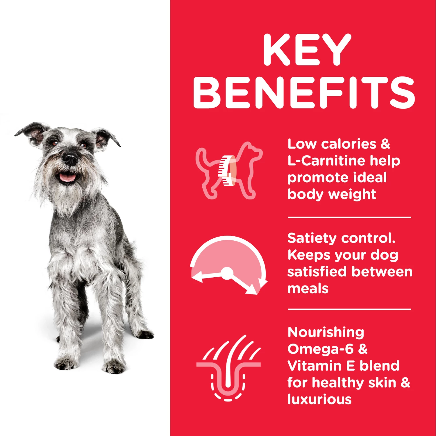 Hill's Science Plan Senior +7 Light Small & Mini Au Poulet 5 Hill's Science Plan Senior +7 Light Small & Mini Au Poulet – Image 3