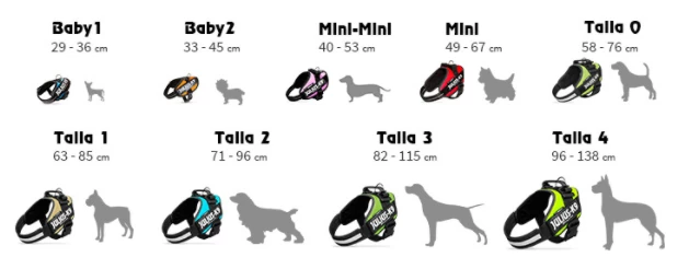 Julius K9 Aquamarine 4 Julius K9 Aquamarine – Image 2