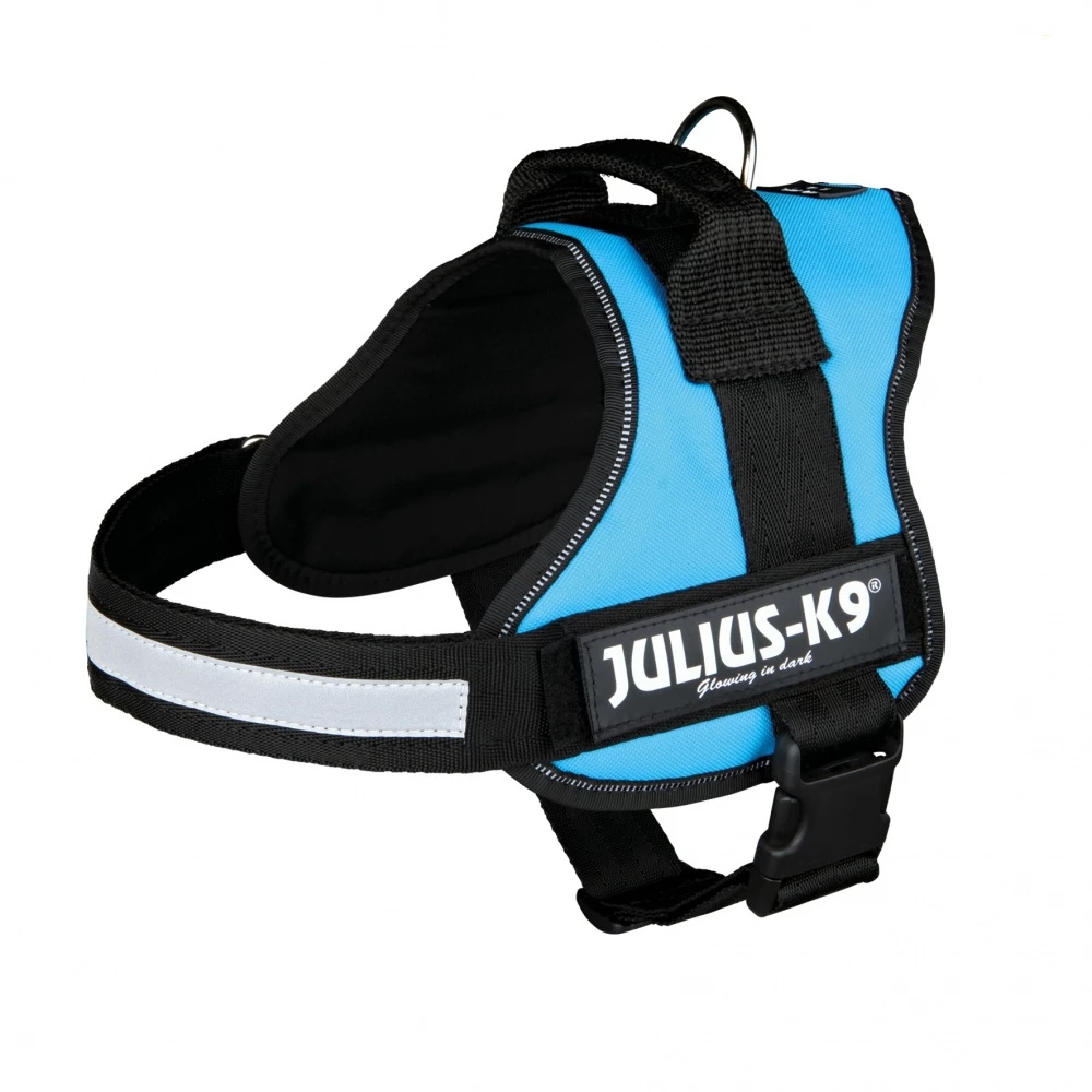 Julius K9 Aquamarine 3 Julius K9 Aquamarine