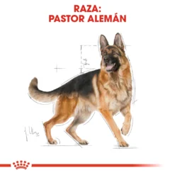 Royal Canin German Shepherd Adult Pour Chien Adulte De Type Berger Allemand -Trixie Soldes Magasin 47 3 2