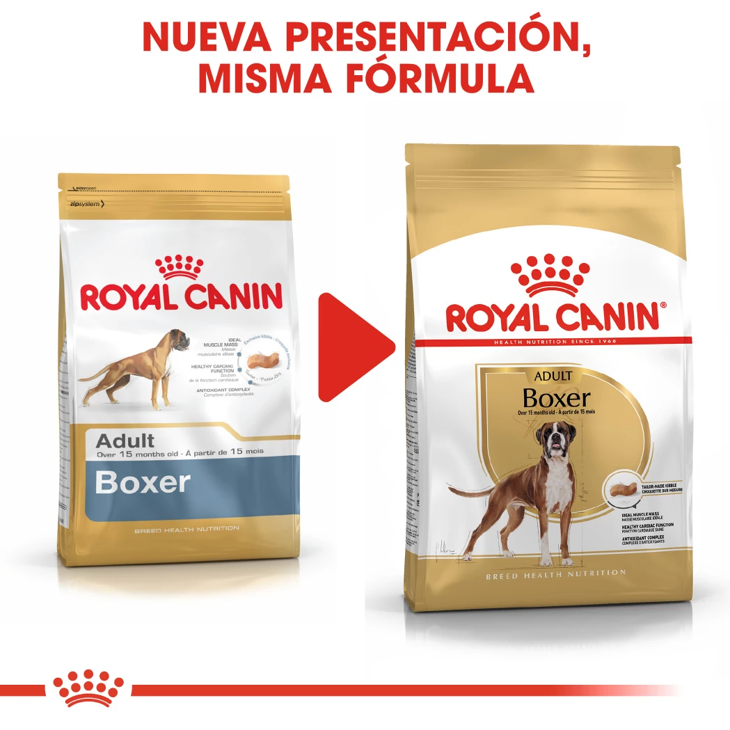 Royal Canin Boxer Adult 8 Royal Canin Boxer Adult – Image 6
