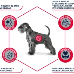 Advance Nourriture Diabète Et Colitis Canine 14 Advance Nourriture Diabète Et Colitis Canine -Trixie Soldes Magasin 4956 3 4