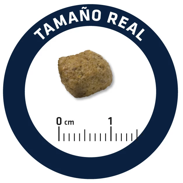 Advance Nourriture Diabète Et Colitis Canine 8 Advance Nourriture Diabète Et Colitis Canine – Image 6