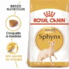 Royal Canin Tourteau Adult Sphynx 33 -Trixie Soldes Magasin 4988 0