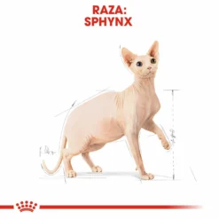 Royal Canin Tourteau Adult Sphynx 33 -Trixie Soldes Magasin 4988 6