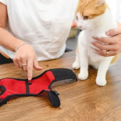 Ferplast Harnais Jogging -Trixie Soldes Magasin 5 0190016322 1800x1800 63ac0ccdf09a4