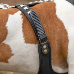 Ferplast Harnais One Touch Giotto Marron -Trixie Soldes Magasin 5 0190017456 1800x1800 63b176d39d4f3