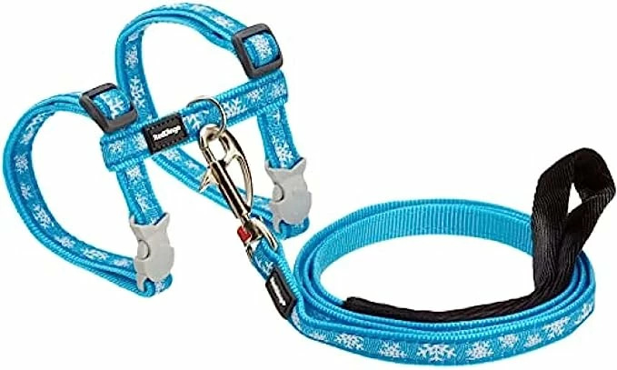 Red Dingo Correa Bleu Petral / Style 4 Red Dingo Correa Bleu Petral / Style – Image 2