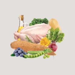 Traveness Nourriture Naturel Grain Free Puppy & Junior Recette De Poulet -Trixie Soldes Magasin 512x512 1 8 64a523c662660