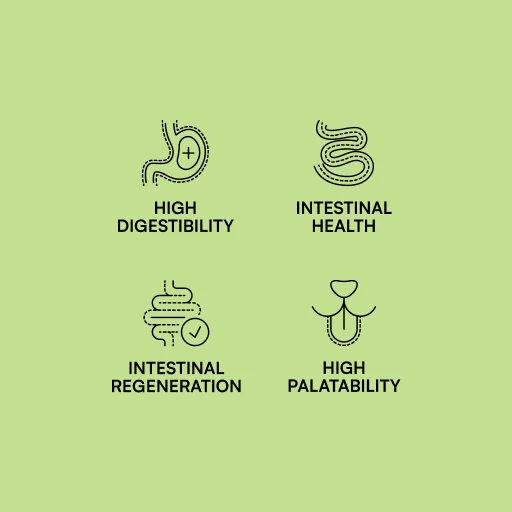 Hantu Specific Diet Gastrointestinal 6 Hantu Specific Diet Gastrointestinal – Image 4