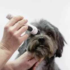 Artero Tondeuse Exacta 12 Artero Tondeuse Exacta -Trixie Soldes Magasin 51lj7d3erkl ac sl1000 6343e28460dcb