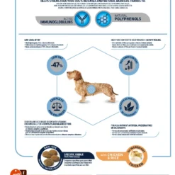 Advance Pienso Light Para Perros Mini De Pollo Y Arroz -Trixie Soldes Magasin 53 3 kg 62239 8410650150222 dog 9 2