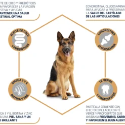 Advance German Shepherd Berger Allemand -Trixie Soldes Magasin 538 3 4