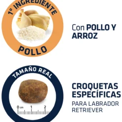 Advance Labrador Adult -Trixie Soldes Magasin 539 4 4