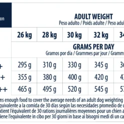 Advance Labrador Adult -Trixie Soldes Magasin 539 6 6