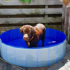 Duvo Plus Piscine Pour Chien Durable -Trixie Soldes Magasin 5414365331542 sc1 webl 63e4b16ec1e62
