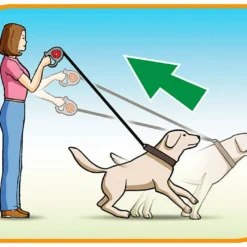 Ferplast Bande De Contrôle Flippy Bordeaux 8 Ferplast Bande De Contrôle Flippy Bordeaux -Trixie Soldes Magasin 5976 8010690063102 1 2