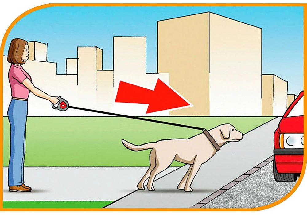 Ferplast Bande De Contrôle Flippy Bordeaux 6 Ferplast Bande De Contrôle Flippy Bordeaux – Image 4