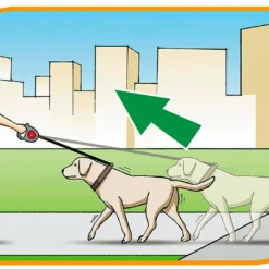 Ferplast Bande De Contrôle Flippy Bordeaux 7 Ferplast Bande De Contrôle Flippy Bordeaux -Trixie Soldes Magasin 5976 8010690063102 1