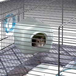 Ferplast Cage Favola Pour Hamsters Et Souris 17 Ferplast Cage Favola Pour Hamsters Et Souris -Trixie Soldes Magasin 6 0190017552 8d4b917c 1f3e 40c0 8ca5 15c4dc71b205 1800x1800 63aed0ffcd34d