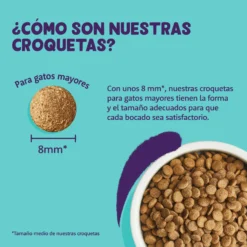 Edgard & Cooper Aliments Secs Sans Céréales à La Dinde Et Au Poulet Pour Chats Adultes -Trixie Soldes Magasin 6 5407009640384 croqueta 63aad254a8446 scaled