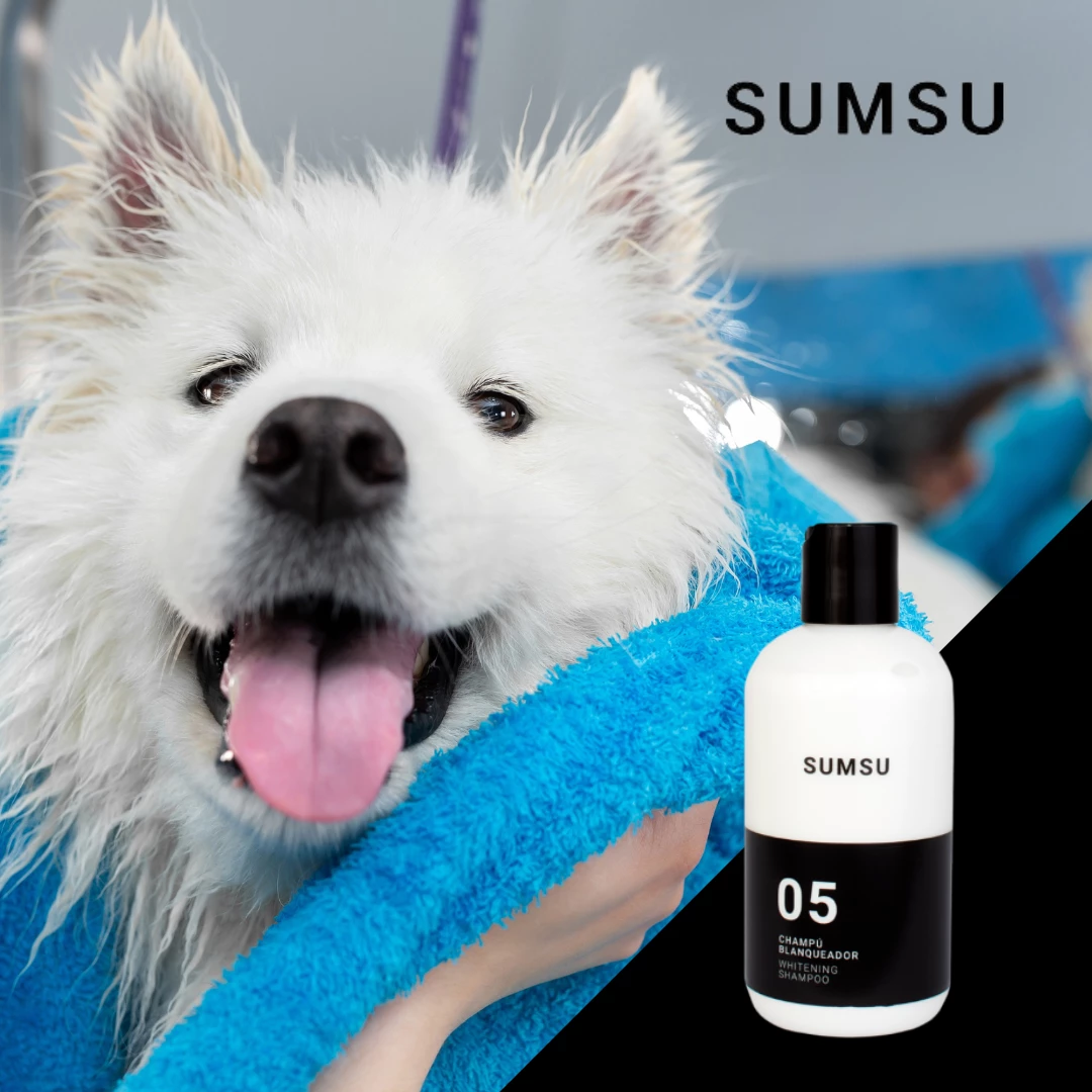 SUMSU Shampooing Blanchissant 4 SUMSU Shampooing Blanchissant – Image 2