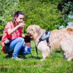 Julius K9 Balle Idc à Poignée -Trixie Soldes Magasin 60323 5999053615611 3 5