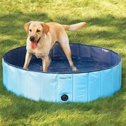 Trixie Piscine Pour Chiens 15 Trixie Piscine Pour Chiens -Trixie Soldes Magasin 61Wwcy7Dx8L 62a751904e102